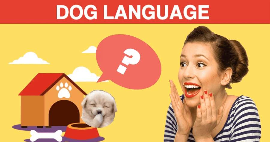 Whatβs Your Name In Dog Language?