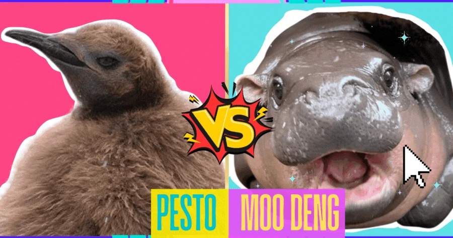Are You More Pesto Or Moo Deng? π¦π§